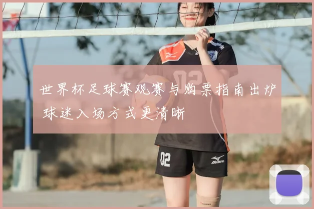 世界杯足球赛观赛与购票指南出炉 球迷入场方式更清晰