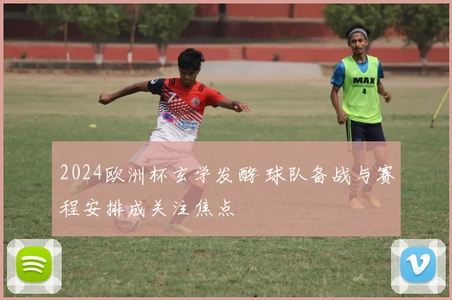 2024欧洲杯玄学发酵 球队备战与赛程安排成关注焦点