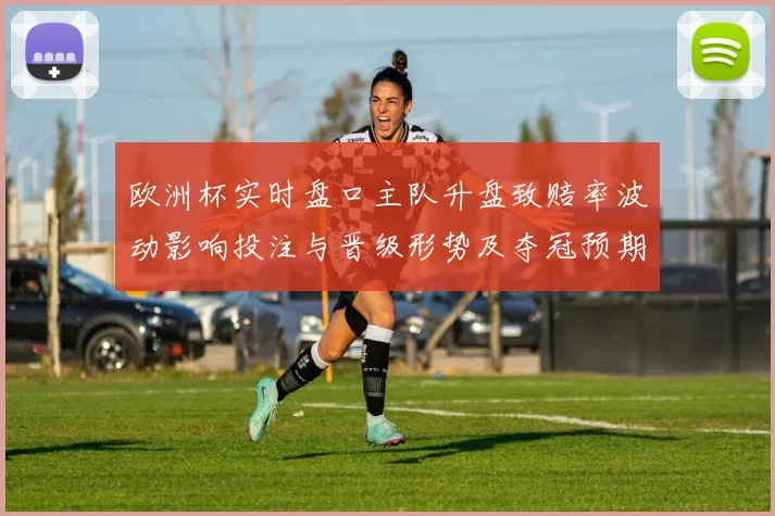 欧洲杯实时盘口主队升盘致赔率波动影响投注与晋级形势及夺冠预期