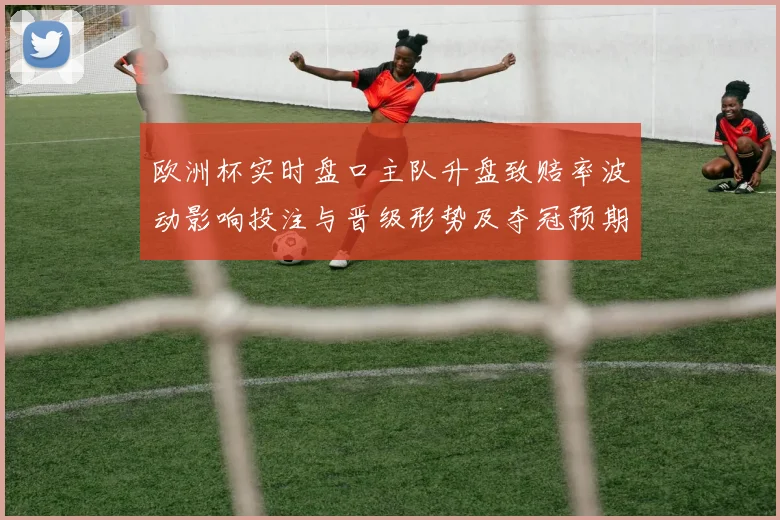 欧洲杯实时盘口主队升盘致赔率波动影响投注与晋级形势及夺冠预期