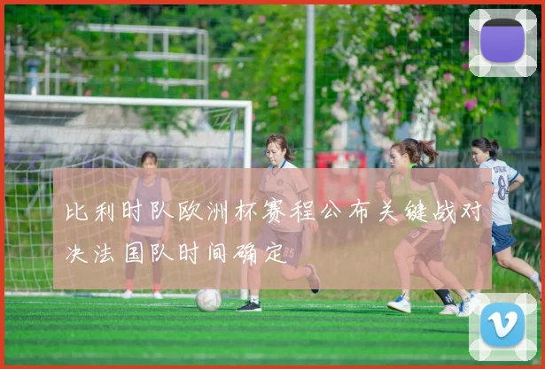 比利时队欧洲杯赛程公布关键战对决法国队时间确定